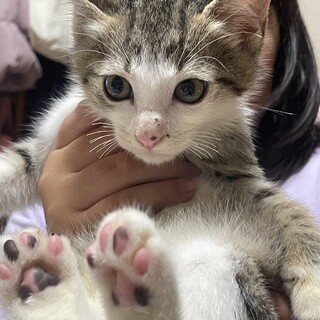 元気でマイペース(2ヶ月男の子)