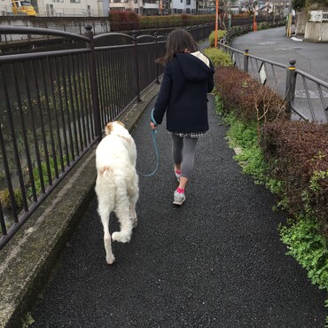 青森のブリーダーさんから、三鷹に来た当初の写真。8年前ぐらいの写真です。