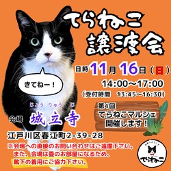 【第18回】てらねこ譲渡会