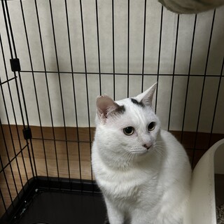 前髪ありの男の子　個性的な顔立ち