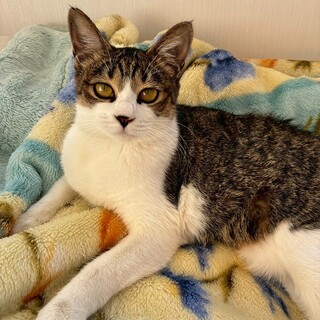 人見知りもなく優しく甘えん坊の美和(みわ)ちゃん