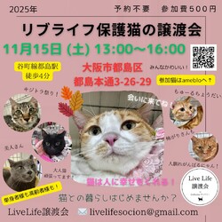 LiveLife譲渡会inキャットソシオンギャラリー