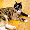 おばちゃまは見かけによらず甘えん坊☆サラちゃん サムネイル3
