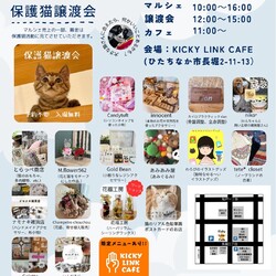 いぬねこマルシェ　保護猫譲渡会