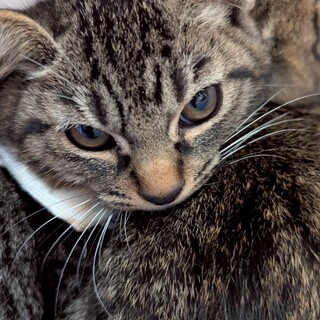 兄妹二人で寄り添ってきた♡ふぅくん