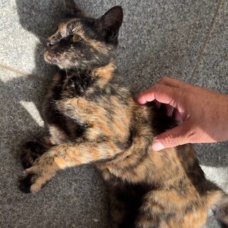 ひとつの瞳に宿る愛情♡ウィンクちゃん