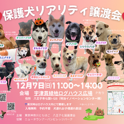 八王子七国リアリティ譲渡会