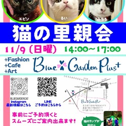 猫の里親会in世田谷区 下高井戸駅
