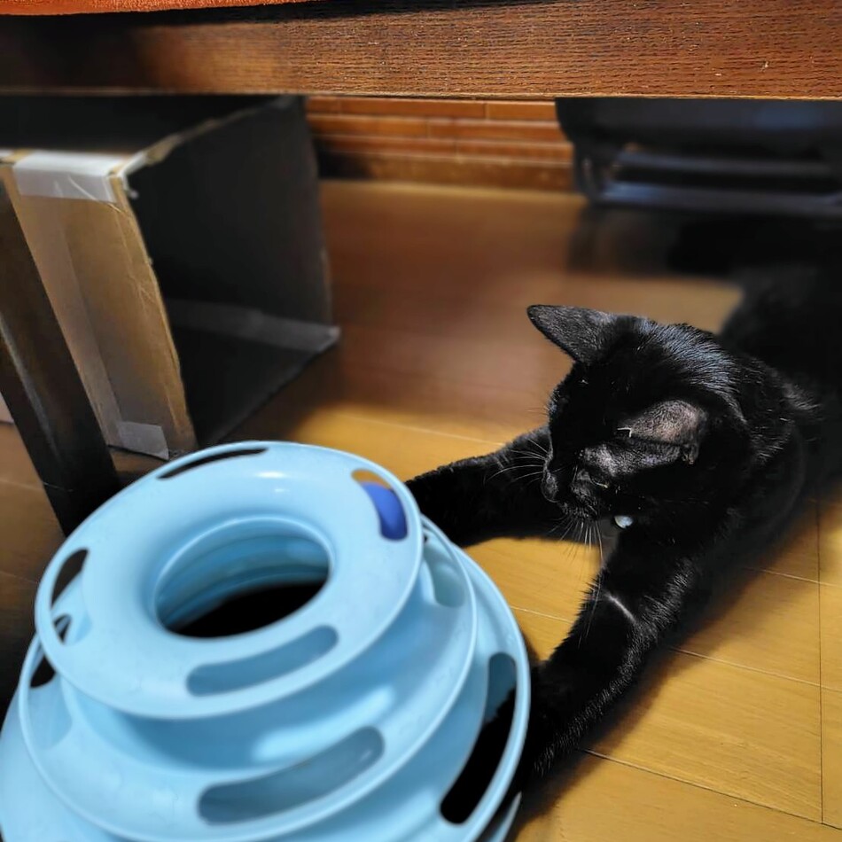 蘭丸のカバー写真