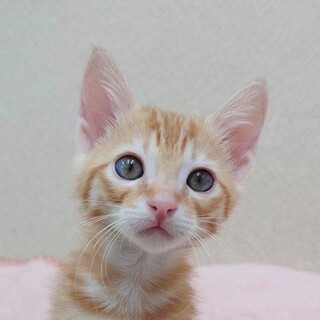 11/9高田馬場★まさりくん★甘々ストーカー男子