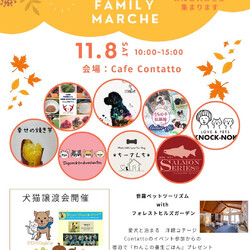 contatto family marché