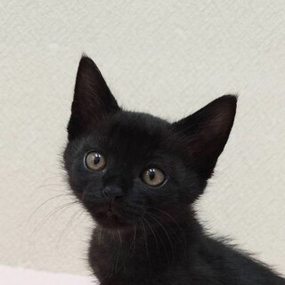 11/9高田馬場★こんくん★甘々穏やか慎重派男子