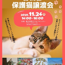 春日部保護猫譲渡会
