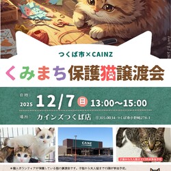 くみまち保護猫譲渡会