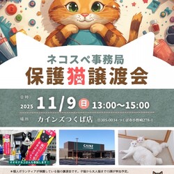 くみまち保護猫譲渡会