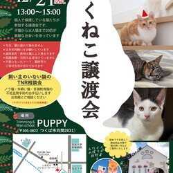 つくねこ譲渡会