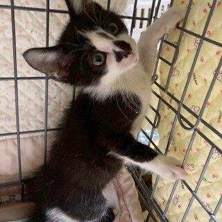 ５兄妹の元気印⭐︎藍くん