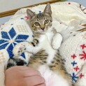おっとり優しい♡生後3ヶ月男の子