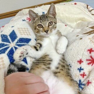 おっとり優しい♡生後3ヶ月男の子