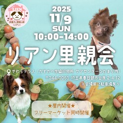 犬保護団体リアン 里親会 サムネイル1