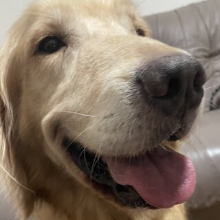 Τ���罸�Υ�����ǥ��ȥ�С���������