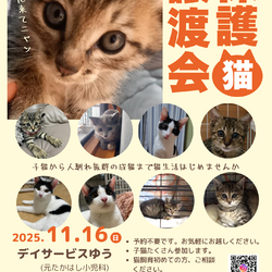 保護猫譲渡会クローバーの会 サムネイル1
