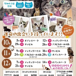 僕たちは家族になる準備はできている！＠オアシスパーク サムネイル1