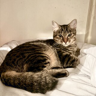 2025年5月生まれ　マイペースの結くん