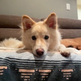 ウメ太郎　男の子　「甘いマスクのきかんぼう」