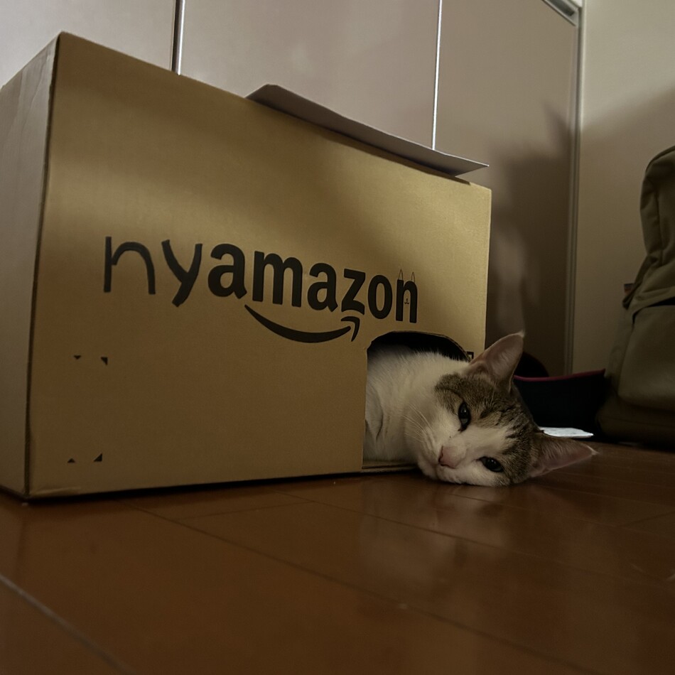 ふくこのカバー写真