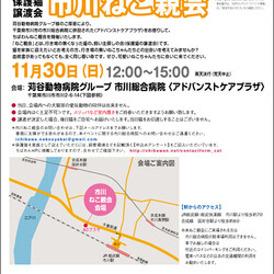 11/30（日)ちばわん市川ねこ親会