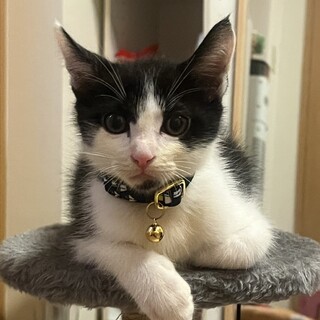 生後2カ月くらいの男の子