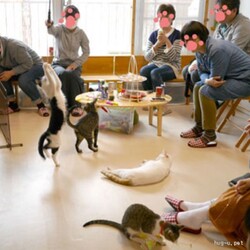 ■お見合い会(予約制)＆ふれあい授業参観■新大阪■ サムネイル2