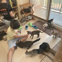 ■お見合い会(予約制)＆ふれあい授業参観■新大阪■ サムネイル3