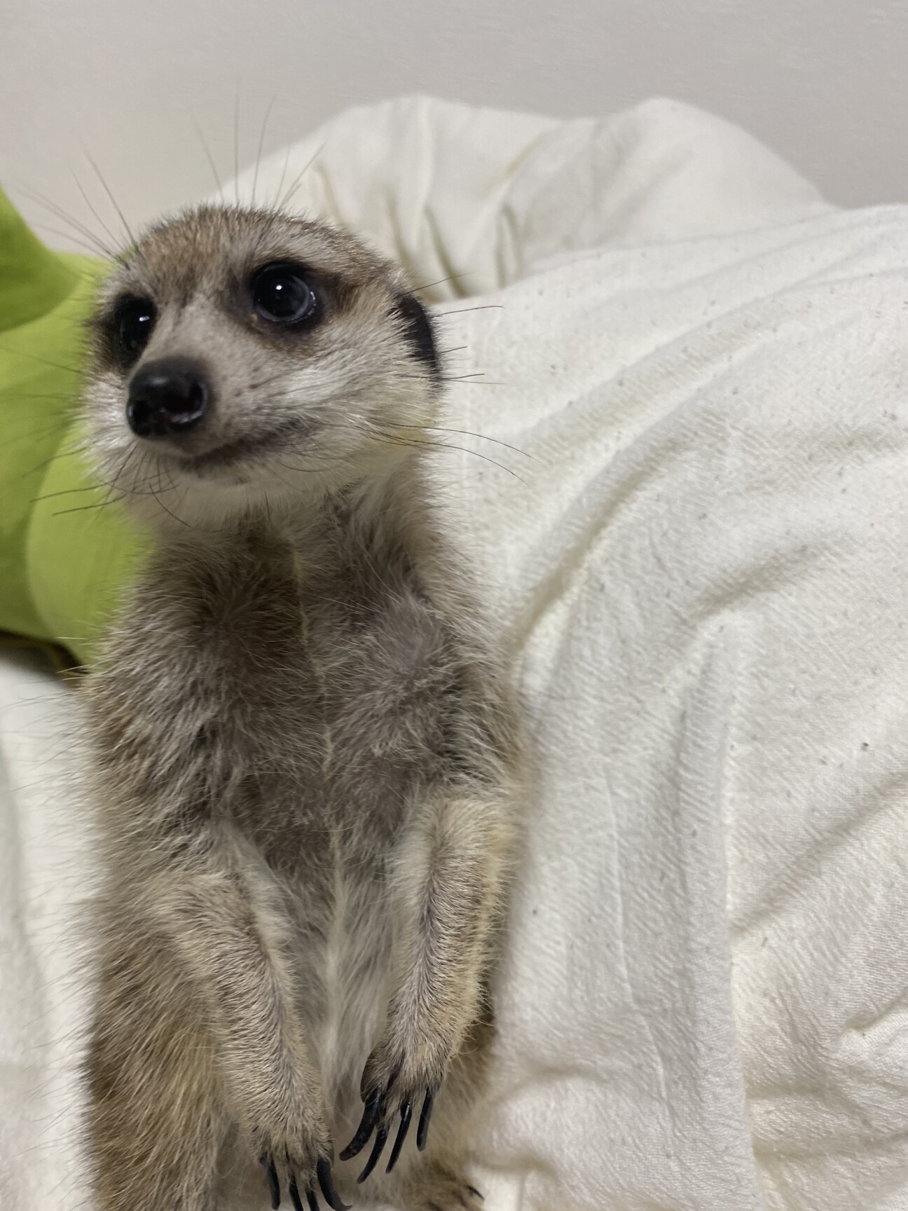 当時のメディア報道・掲載写真
