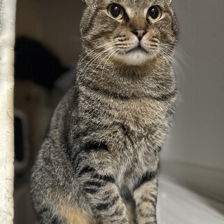 感情豊かでおしゃべりな食いしん坊さん♪