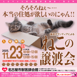 猫の譲渡会☆大須商店街近く
