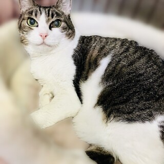 ゴロゴロ甘ちゃんのおばあちゃま【守口市】