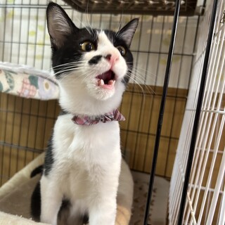 口元の模様も可愛い　6ヶ月女の子　わかめちゃん