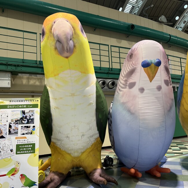 ママイのカバー写真