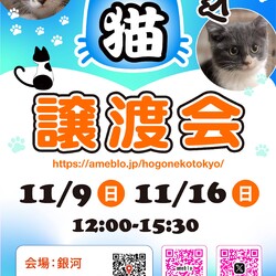 ほごねこ東京譲渡会＠駒込