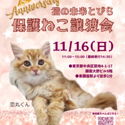 ★猫の未来とびら譲渡会★東銀座徒歩2分★東劇隣
