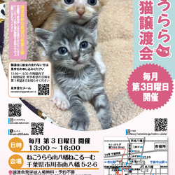 ねこうらら 保護猫譲渡会