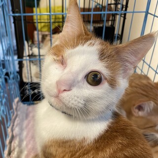 障害は残りましたが瀕死の状態から生還「タスケ」くん