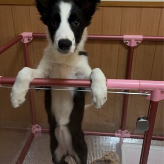 一旦募集終了です　すみません