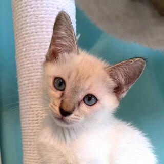 11/9荒川区荒川公園参加 一花(いちか)