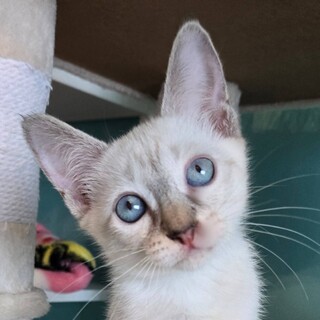 11/9荒川区荒川公園参加 二葉(ふたば)