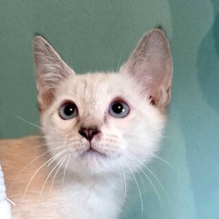 11/9荒川区荒川公園参加 三奈(さな)