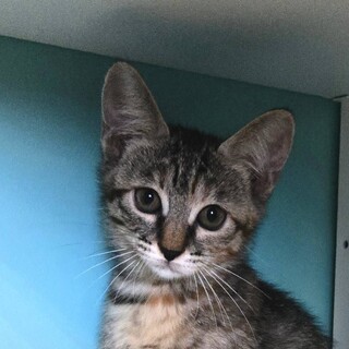 11/9荒川区荒川公園参加 五乃季（いのり）