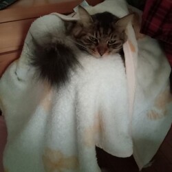 ５歳のお誕生日